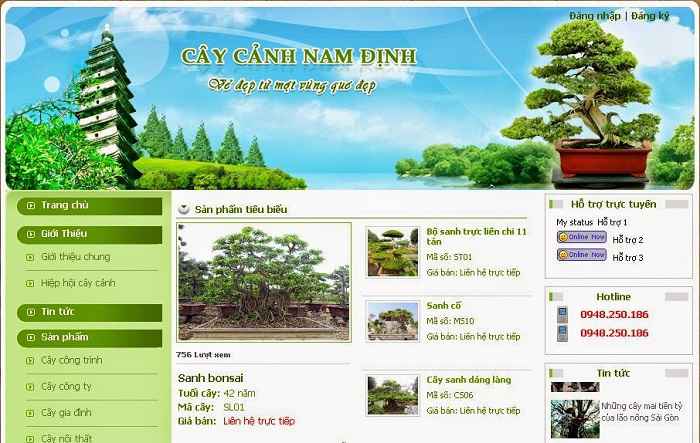 thiet-ke-website-cay-canh-bonsai